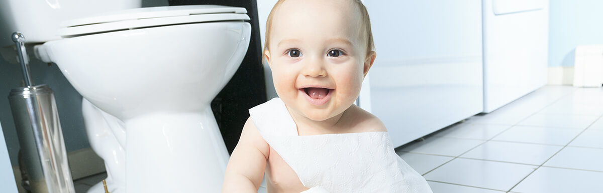 Read more about How to Find the Perfect Toilet 