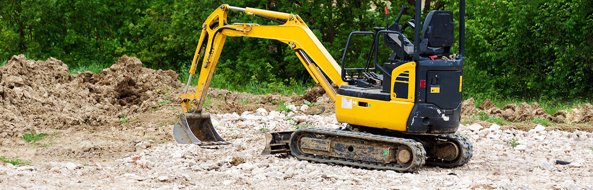 Read more about Ask the Expert: Renting a Machine to Help with Yard Renovations