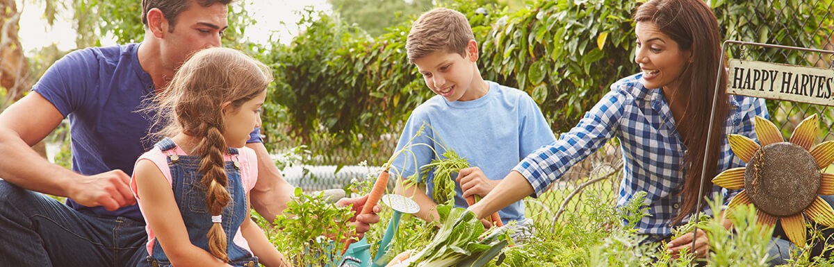 Read more about Ask the Expert: Starting a Garden with Your Kids